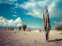 Shutterstock_354138776_desert_tuksnesis (1).jpg