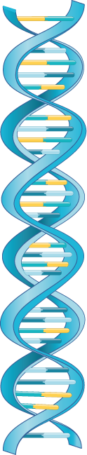 YCUZD_230929_5601_DNA_5.png