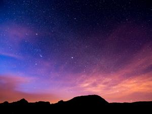 shutterstock_1542099218.jpg