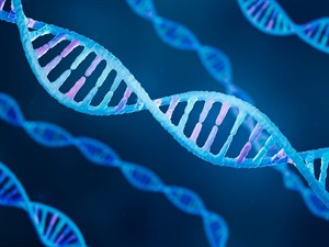 Shutterstock_2362113627_DNA_DNS.jpg