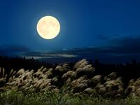 Shutterstock_2509292707_full moon_pilnmēness.jpg