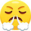 angry emoji 2.png