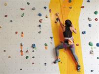 Shutterstock_387899734_climb_rāpties.jpg
