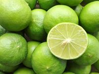 shutterstock_2451278987_limes_laimi.jpg