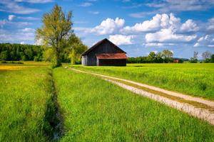 barn-6324533_960_720 (1).jpg