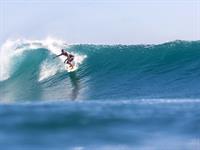 Shutterstock_179829527_surfing a wave_sērfo uz viļņa.jpg