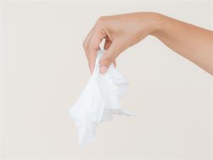Shutterstock_1136884349.jpg