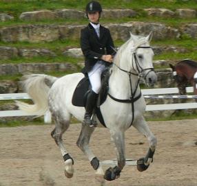15 Etalon-shagya-CSO.JPG