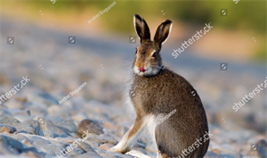 Ekrānuzņēmums 2024-10-07 001608.png