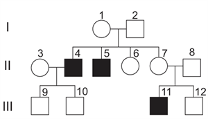 Screenshot 2026-01-28 111236.png