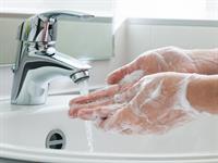 shutterstock_260417144.jpg