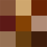 brunie.png
