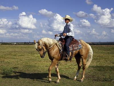 cowboy3.jpg