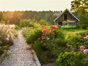 shutterstock_131937623.jpg