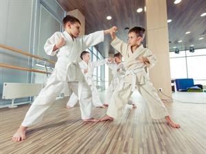 Shutterstock_439358632_karate.jpg