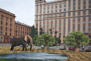 elephants-4789461_1920.jpg