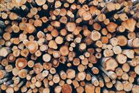 wood-g42c29cdcf_1280.jpg