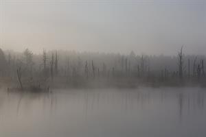 fog-1886939_1920.jpg