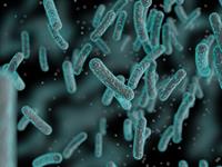 Shutterstock_750553609_bacteria_baktērijas.jpg