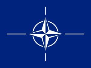 NATO FLAG NORMAL.jpg