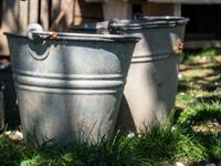 Shutterstock_604687730_buckets_spaiņi.jpg