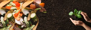 shutterstock_1925546612_Organic waste_Organiskie atkritumi.jpg