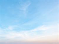 shutterstock_1937151346.jpg