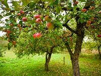 shutterstock_66116539.jpg