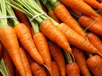 Shutterstock_2490289471_carrots_burkāni.jpg