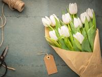 Shutterstock_2284724487_congratulations_apsveikums.jpg
