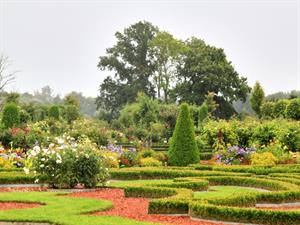 Shutterstock_2096048680_garden_dārzs.jpg