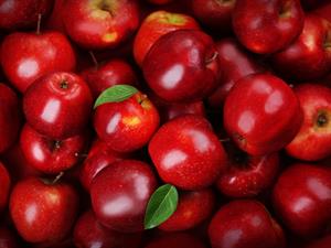 Shutterstock_292140977_apples_āboli.jpg
