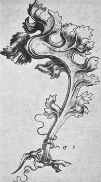 WIKI_20251023_Martin_Schongauer_-_Erstes_Krabbenornament_(L_111).jpg