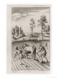 michael-van-der-gucht-roman-farmers-plowing-with-oxen.jpg
