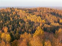 shutterstock_1336915511.jpg