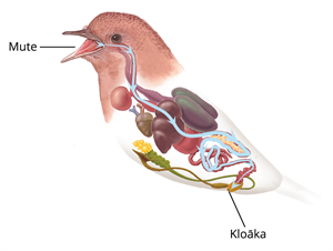 YCUZD_250610_7362_1.png