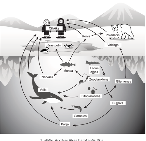 Screenshot 2025-12-06 123247.png