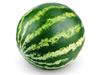 Shutterstock_566226250_watermelon_arbūzs.jpg