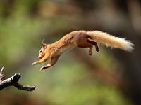 shutterstock_1160206519.jpg