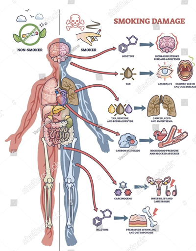 Screenshot 2026-02-11 160421.png