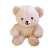 teddy_bear.png