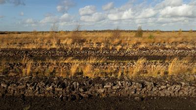moor-g78a64a858_1280.jpg