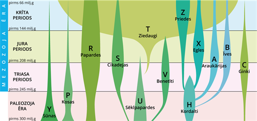 YCUZD_230909_5502_evolucija_5.png