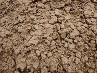 Shutterstock_2290362827_clay_māls.jpg