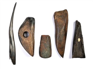 ATĻAUJA_260106_7777_Mezolīta darbarīki_kaula duncis_raga cirvis_akmens kalts_kaula ledus cirtnis un kalts.jpg