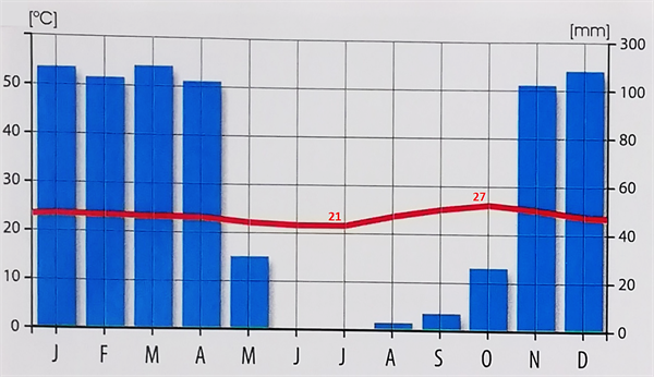 svvv1.png