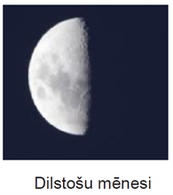 dilst2.png