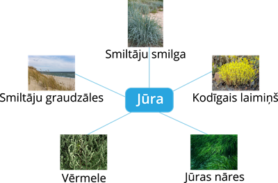 YCUZD_250731_7453_jura.png