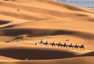 siwa-camel-safari-in-egypt-desert-trip.jpg