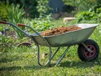 Shutterstock_584440969_wheelbarrow with soil_ķerra ar augsni.jpg